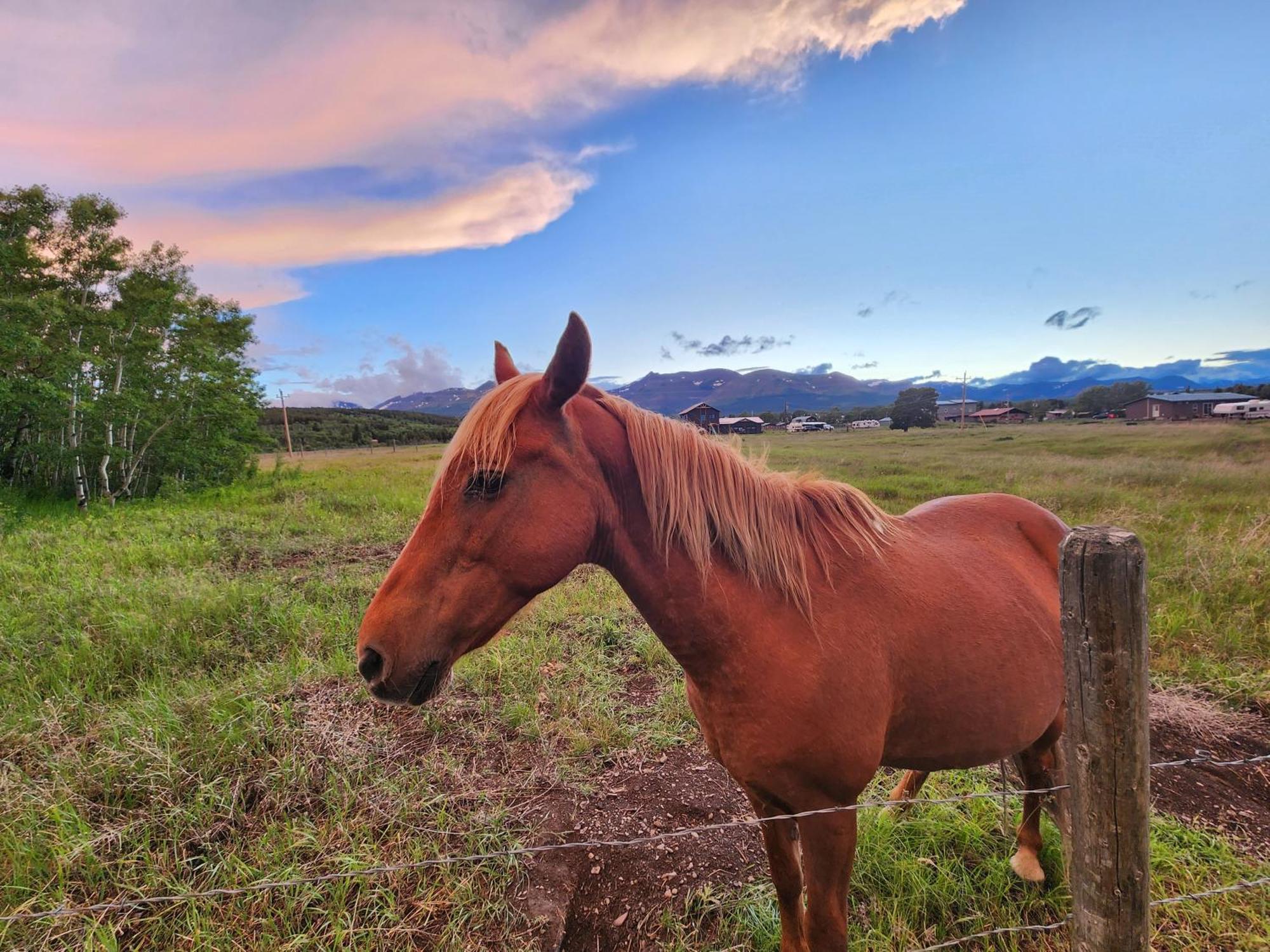 موتيل East Glacier Park Village سيركيل آر موتل المظهر الخارجي الصورة